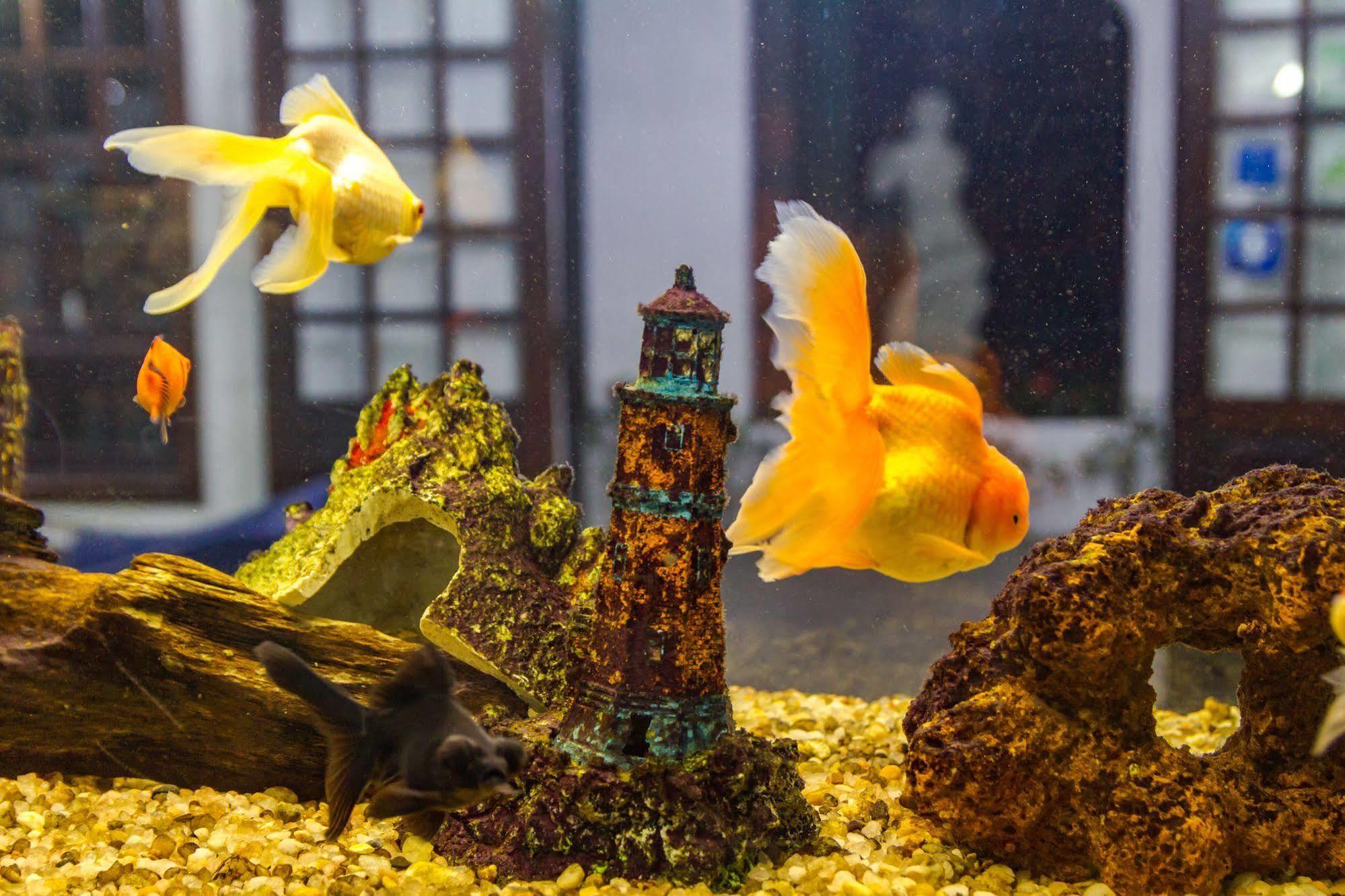 Pousada Torre Del Mar Ubatuba Dış mekan fotoğraf